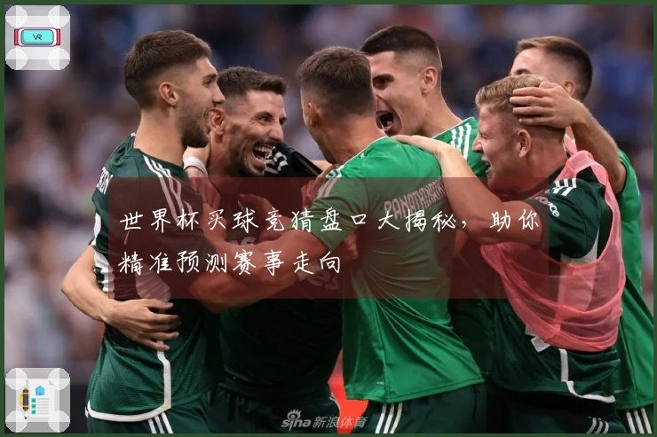 世界杯买球竞猜盘口大揭秘，助你精准预测赛事走向