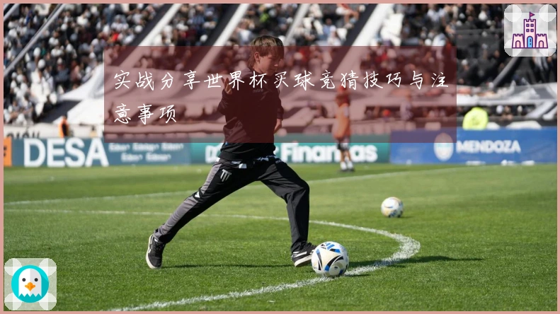 实战分享世界杯买球竞猜技巧与注意事项