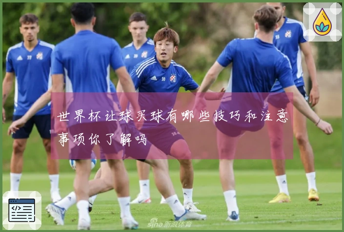世界杯让球买球有哪些技巧和注意事项你了解吗
