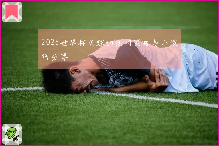 2026世界杯买球的热门策略与小技巧分享