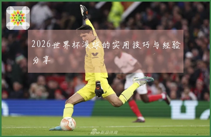 2026世界杯滚球的实用技巧与经验分享