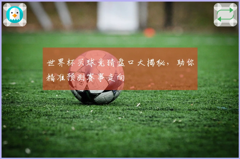 世界杯买球竞猜盘口大揭秘，助你精准预测赛事走向